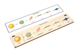 Ocean Food Chain Puzzle