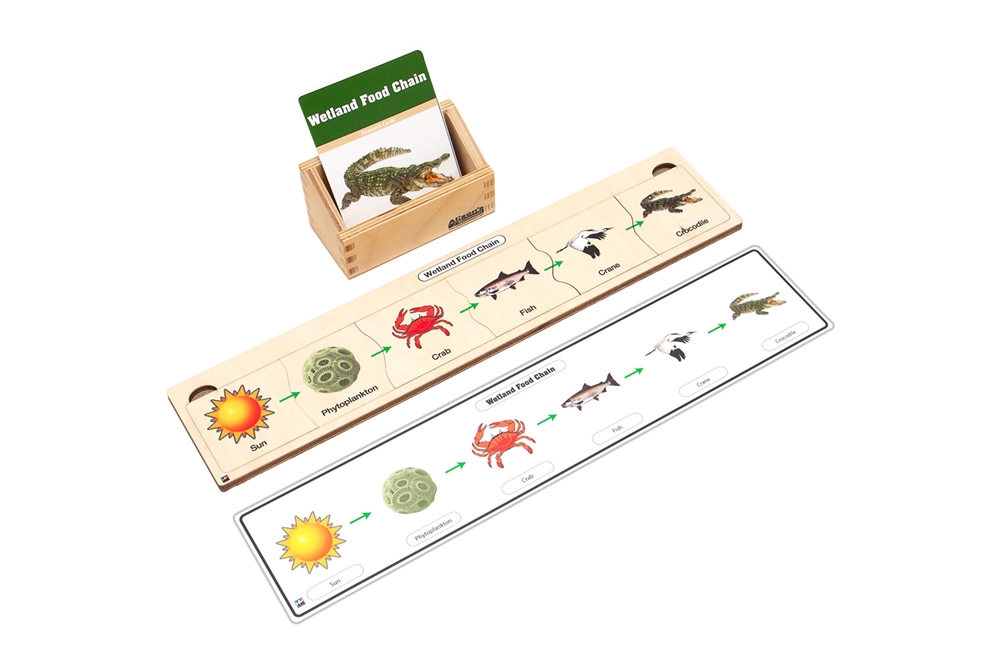 Wetland Food Chain Complete Set