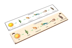 Desert Food Chain Puzzle
