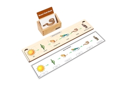 Desert Food Chain Complete Set