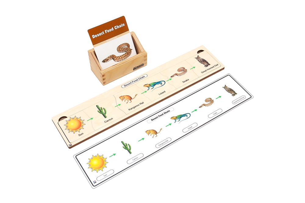 Desert Food Chain Complete Set
