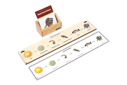 Pond Food Chain Complete Set