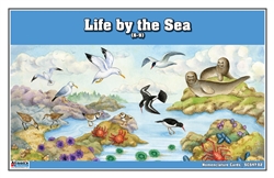 Life by the Sea Nomenclature Cards (6-9) (Printed)