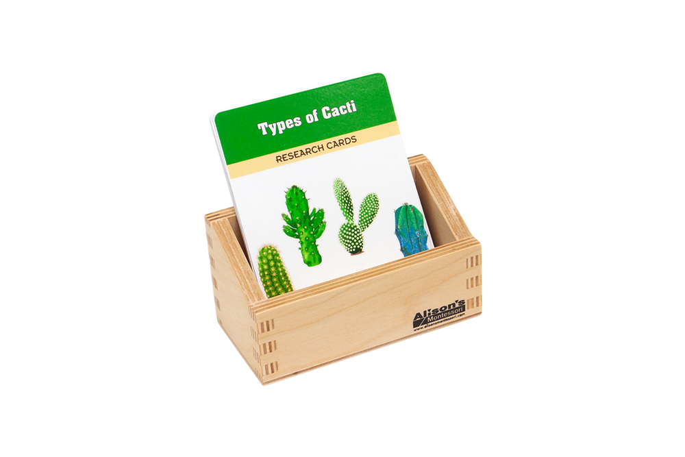 Types of Cacti Research Cards