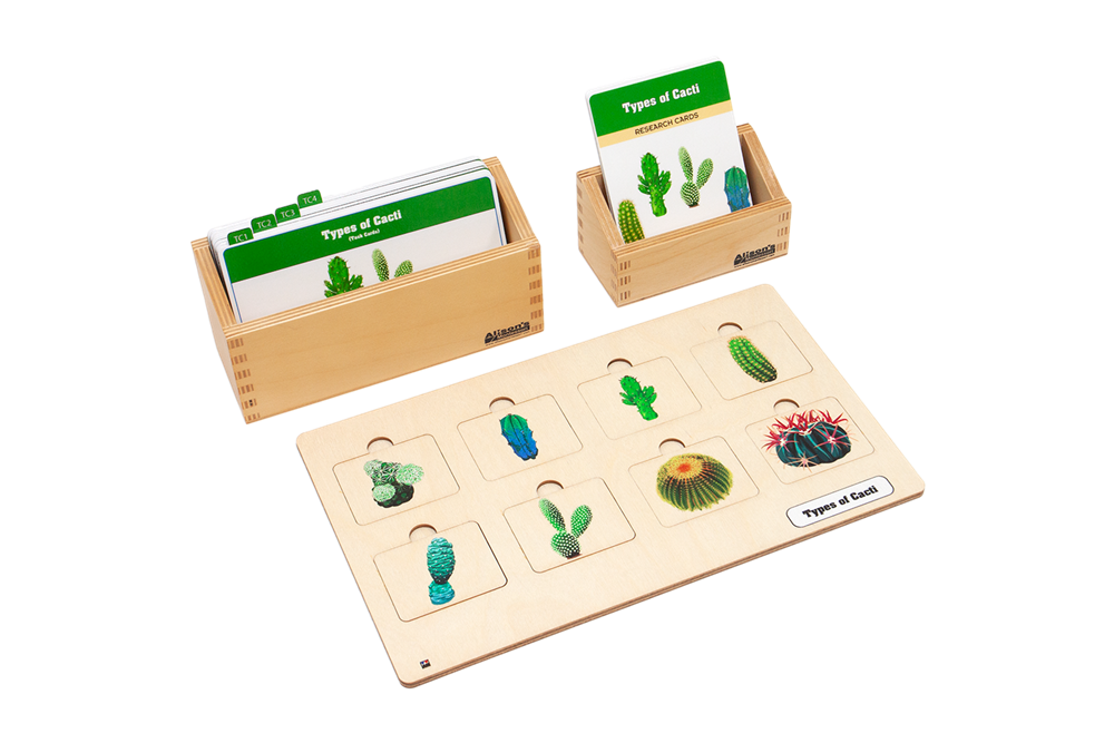 Types of Cacti Complete Set