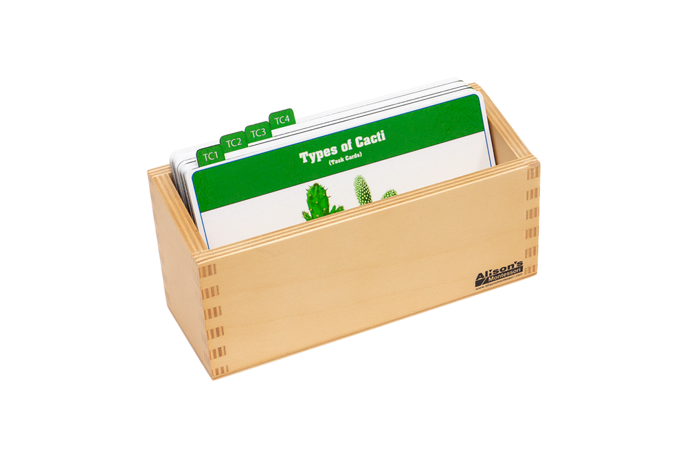 Types of Cacti Task Cards