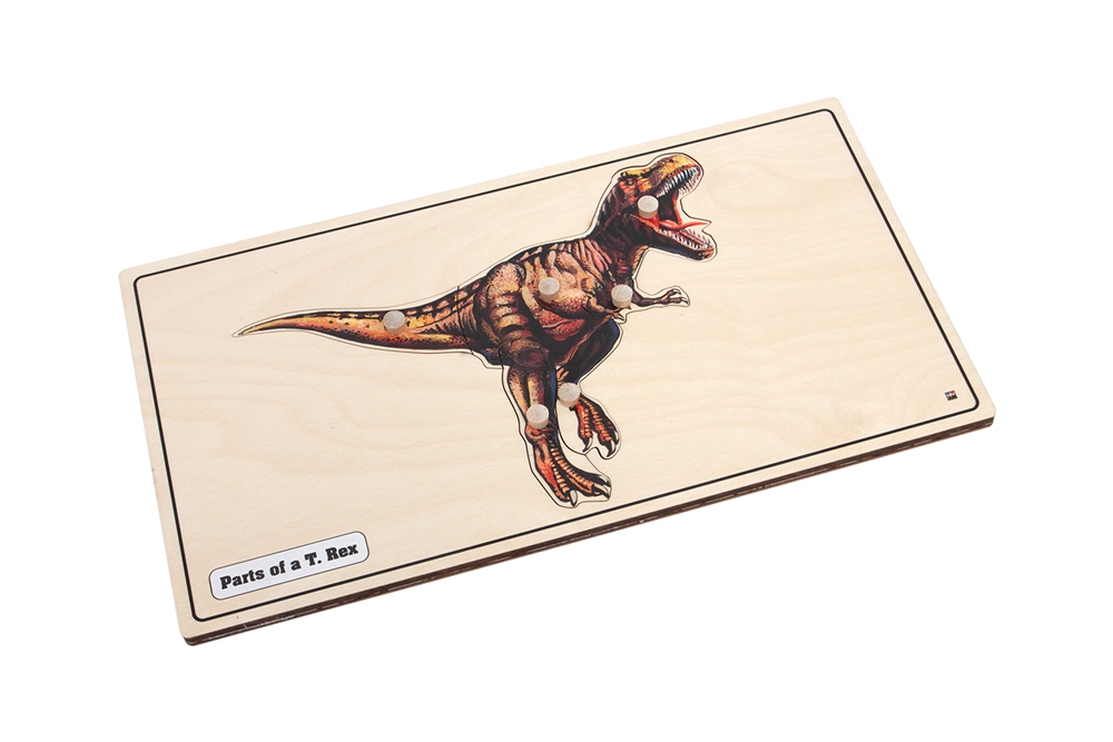 Parts of a T. Rex Puzzle with Nomenclature Cards 3-6 (Printed)