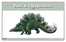 Parts of a Stegosaurus Nomenclature Cards 6-9 (Printed)