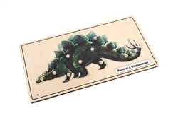 Parts of a Stegosaurus Puzzle with Nomenclature Cards 3-6 (Printed)