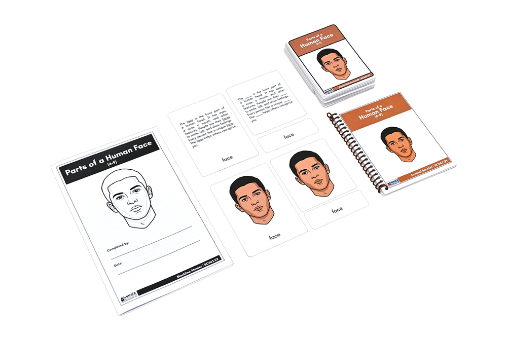 Parts of a Human Face Nomenclature Cards (6-9) (Printed)