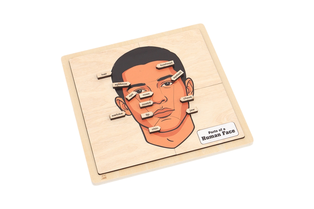 Parts of a Human Face Puzzle with Nomenclature Cards (3-6) (Printed)