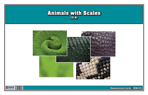 Animals with Scales