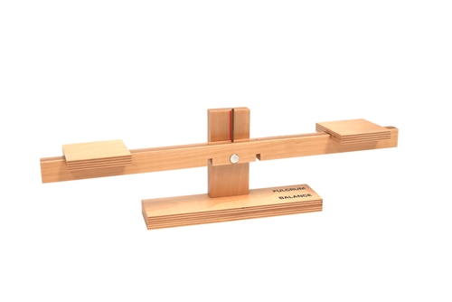 Fulcrum Balance Model