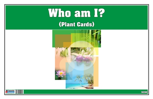 Who am I? (Plant Cards)