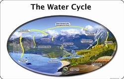 Water Cycle Poster