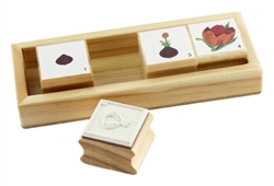 Life Cycle Stamps-Tulip
