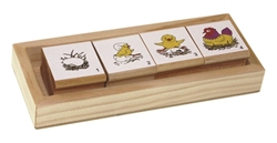 Life Cycle Stamps-Chicken
