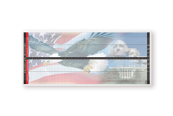 Timeline of American History: Mute Chart