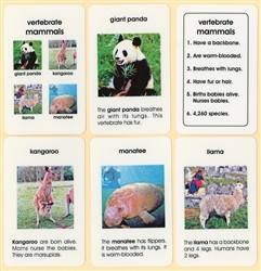Vertebrate Grouping Plastic Cards