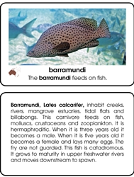 World Fish PDF Elementary