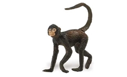 Montessori Materials-Spider Monkey
