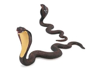 Cobra