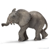 African Elephant Calf