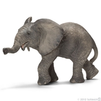 African Elephant Calf