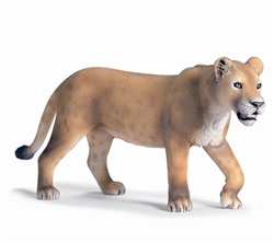 Walking Lioness