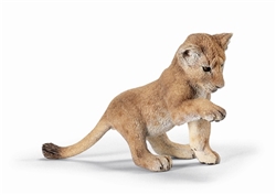 Playing Lion Cub