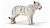 Tigress White