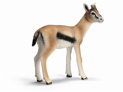 Gazelle