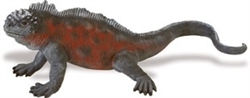 Montessori Materials: Galapagos Marine Iguana