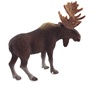 Wild Life Animals: Moose Bull