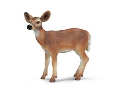 White-tailed doe