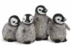 king penguin chicks