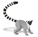 ring tailed lemur