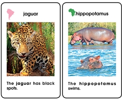 World Mammal Ages 3-6 Plastic Cards