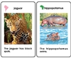 World Mammal Cards Ages 3-6 PDF