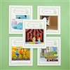 Green Reader Set C