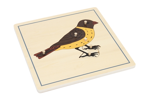 Parts of a Bird Puzzle