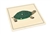 Parts of a Tortoise Puzzle
