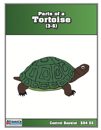 Parts of the Turtle Control Booklet