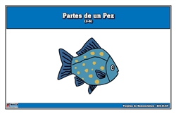 Parts of a Fish Nomenclature Cards (3-6)  (Spanish)