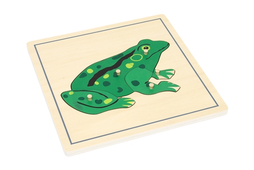 Parts of a Frog Puzzle