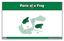 Parts of a Frog Nomenclature Cards (3-6) Printed