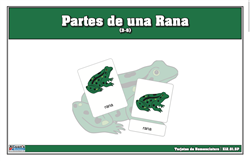 Tarjetas de Nomenclatura de Partes de una Rana (3-6) (Printed)