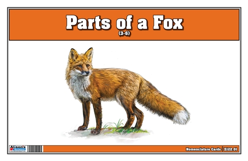 Parts of a Fox (Printed)