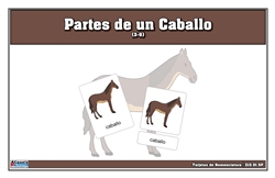 Tarjetas de Nomenclatura de Partes de un Caballo (3-6) (Printed)