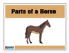 Parts of a Horse Control Booklet